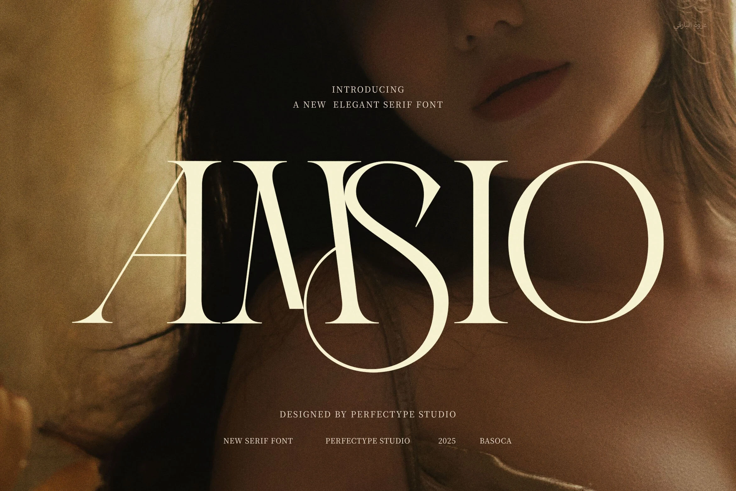 Amsio Elegant Serif font preview