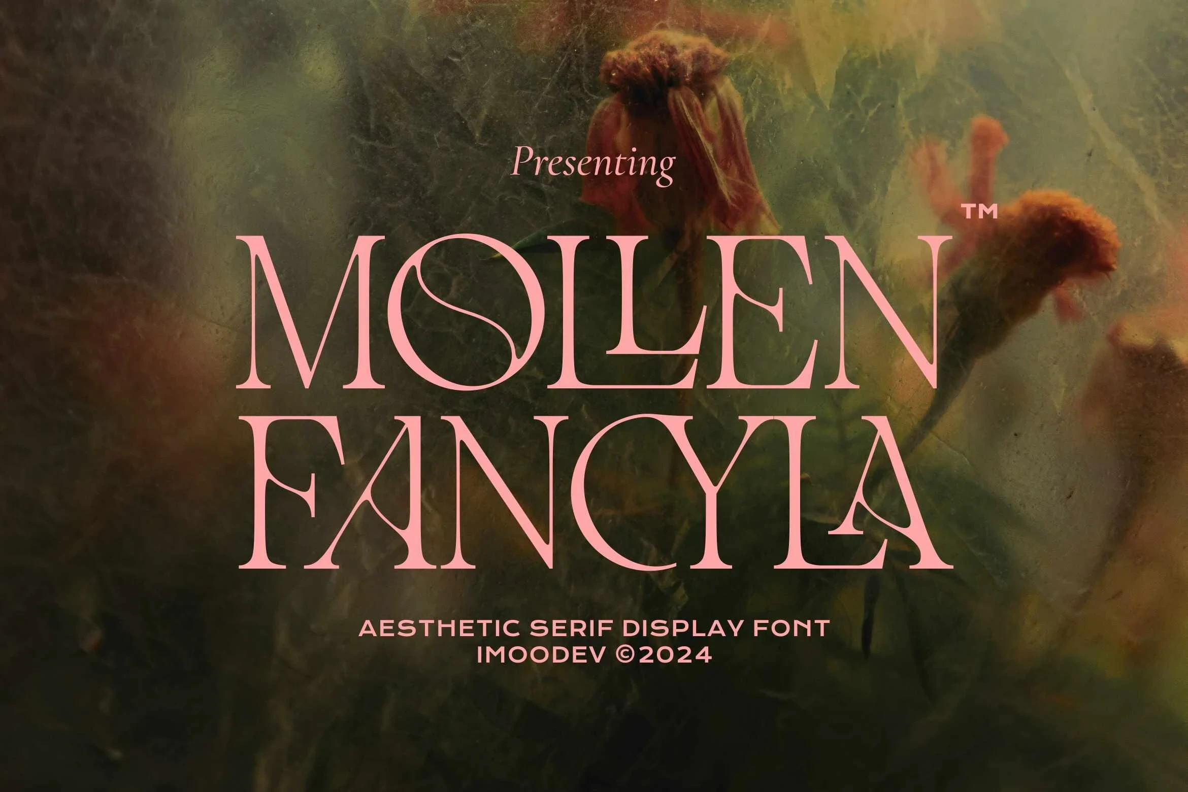 Mollen Fancyla font preview