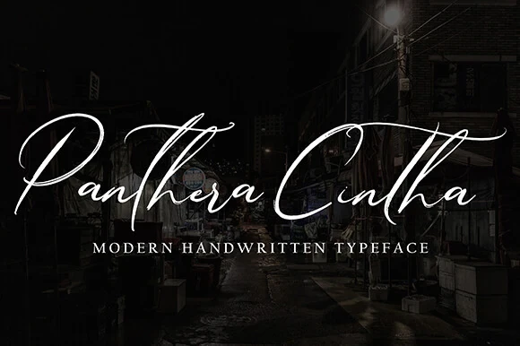 Panthera Cintha Font featuring high stroke contrast and connected cursive letters