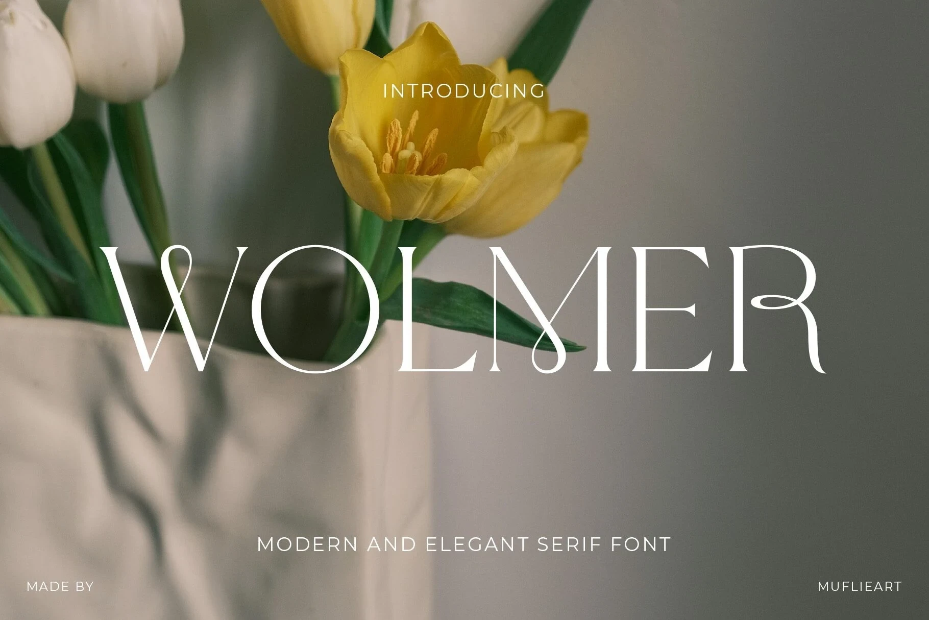 WOLMER font display featuring the word WOLMER in a modern serif typeface with decorative flourishes, set against a soft floral background.